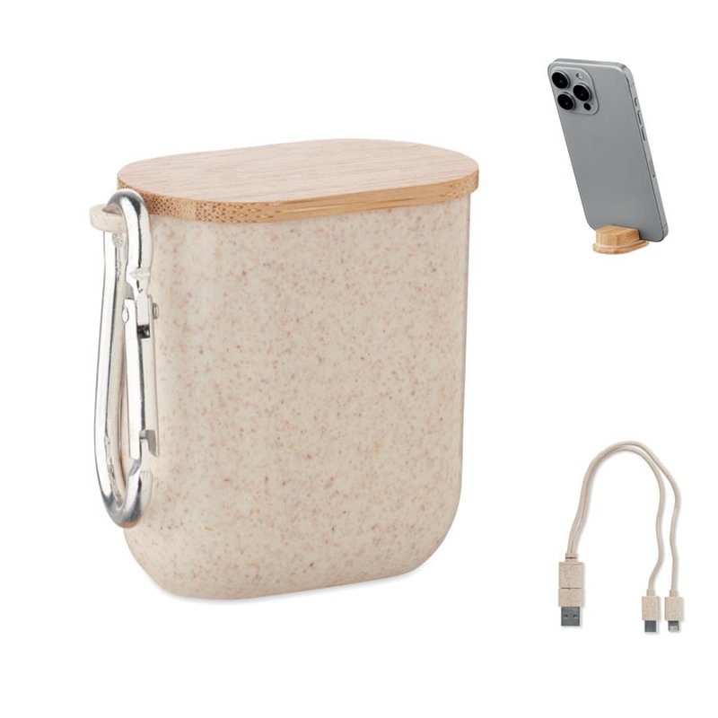 Cable set in case — CABSTRA