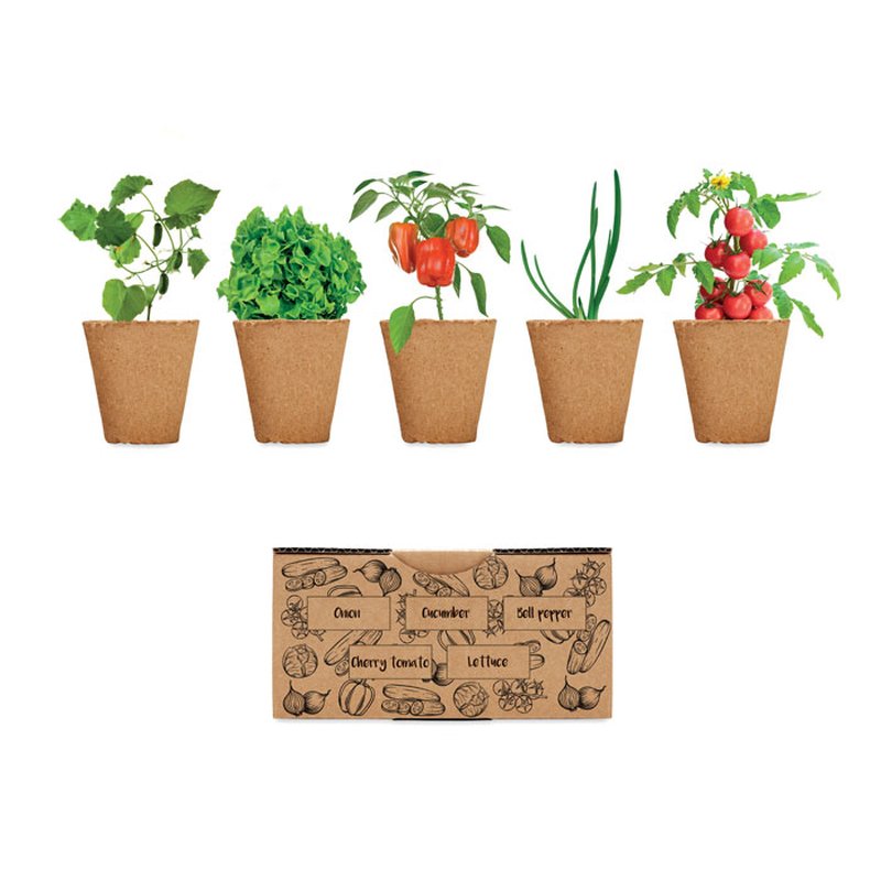 Salad growing kit — SALAD