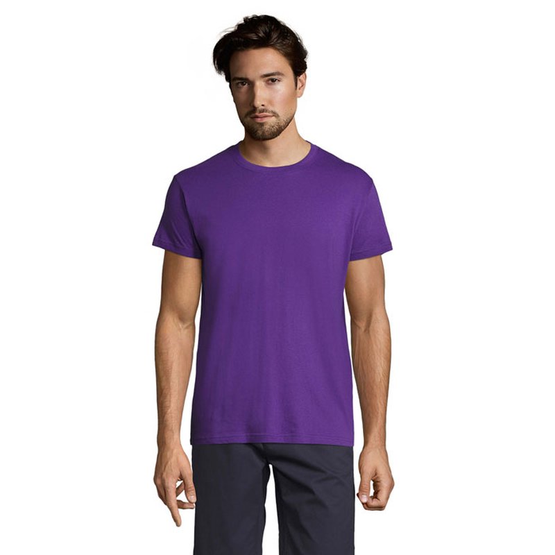 REGENT Uni T-Shirt 150g — REGENT