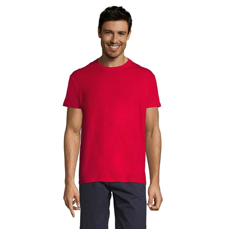 REGENT Uni T-Shirt 150g — REGENT