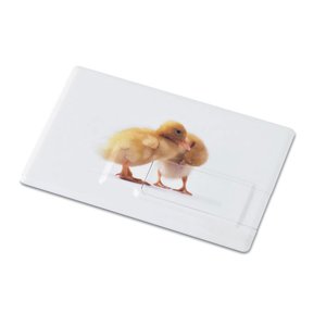 Creditcard. USB flash 16GB — MEMORAMA - Back View