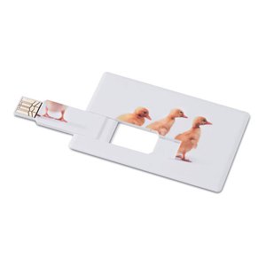Creditcard. USB flash 16GB — MEMORAMA
