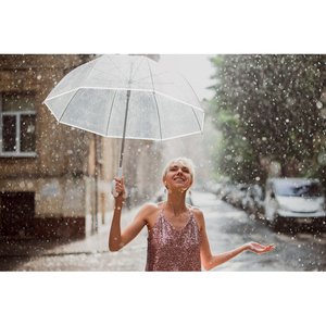 23 inch transparent umbrella