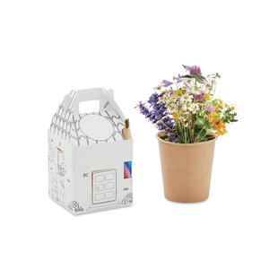 House shaped seeds grow set