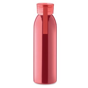 Stainless steel bottle 650ml — BIRA