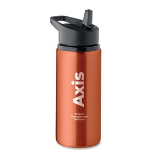 Single wall bottle 500 ml — SPOT