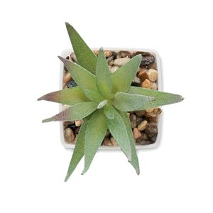 Mini artificial plant — ARTILOE