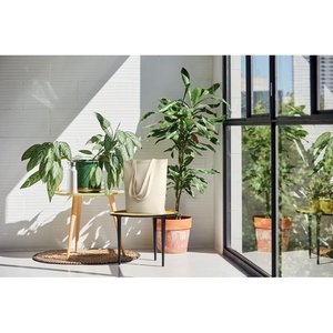 Canvas shopping bag 270 gr/m² — RASSA
