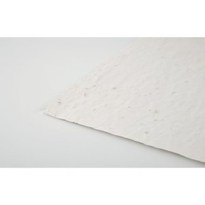 A4 wildflower seed paper sheet