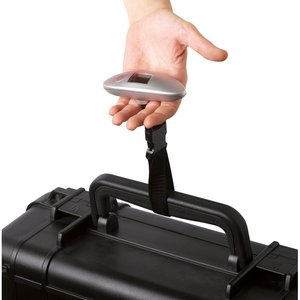 Luggage scale — WEIGHIT