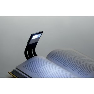 FLEXILIGHT — FLEXILIGHT