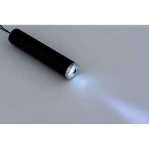 Plastic light up logo torch — SANLIGHT