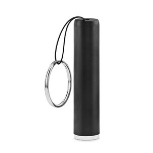 Plastic light up logo torch — SANLIGHT - Back View