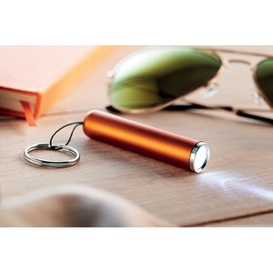 Plastic light up logo torch — SANLIGHT