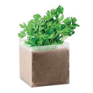 Compost with seeds "PARSLEY" — PARSELY
