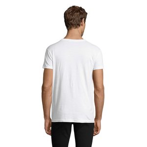 REGENT FIT — REGENT FIT - Back View