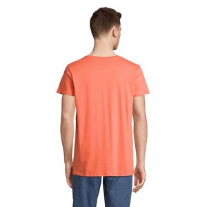 CRUSADER MEN — CRUSADER MEN - Back View