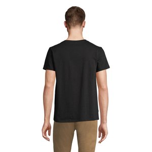 REGENT V — REGENT V - Back View