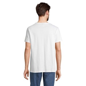 REGENT V — REGENT V - Back View