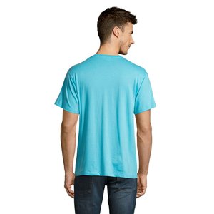 VICTORY V-NECK T-SHIRT 150 — VICTORY - Back View