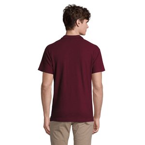 SPRING II — SPRING II - Back View