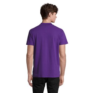 SPRING II — SPRING II - Back View