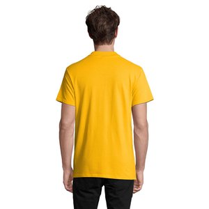 SPRING II — SPRING II - Back View