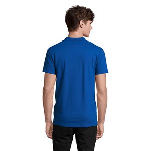 SPRING II — SPRING II - Back View