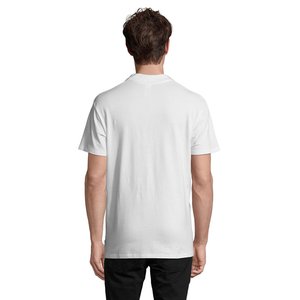 SPRING II — SPRING II - Back View