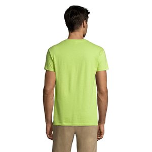 REGENT Uni T-Shirt 150g — REGENT - Back View