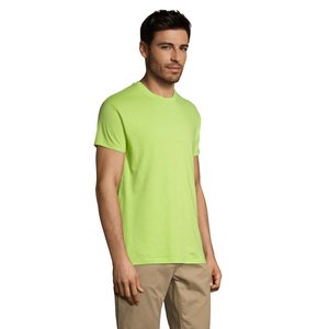 REGENT Uni T-Shirt 150g — REGENT
