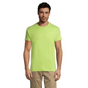 REGENT Uni T-Shirt 150g — REGENT