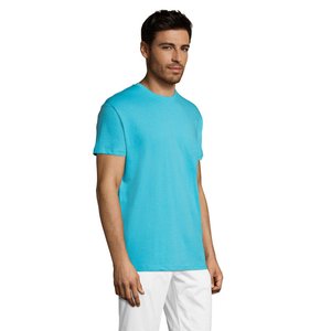 REGENT Uni T-Shirt 150g — REGENT