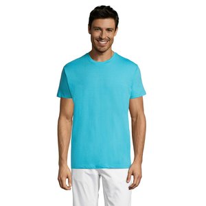 REGENT Uni T-Shirt 150g — REGENT