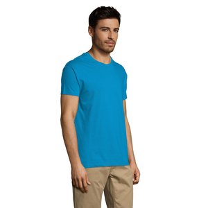 REGENT Uni T-Shirt 150g — REGENT