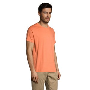 REGENT Uni T-Shirt 150g — REGENT