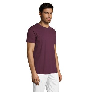 REGENT Uni T-Shirt 150g — REGENT