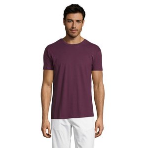 REGENT Uni T-Shirt 150g — REGENT