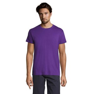REGENT Uni T-Shirt 150g — REGENT