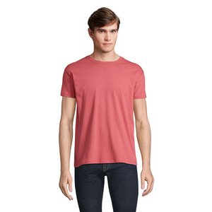 REGENT Uni T-Shirt 150g — REGENT