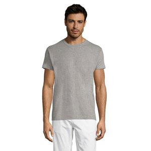 REGENT Uni T-Shirt 150g — REGENT