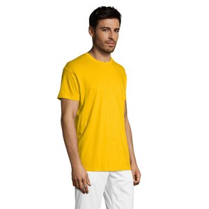 REGENT Uni T-Shirt 150g — REGENT