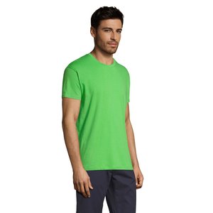 REGENT Uni T-Shirt 150g — REGENT
