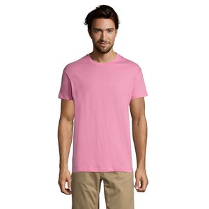 REGENT Uni T-Shirt 150g — REGENT