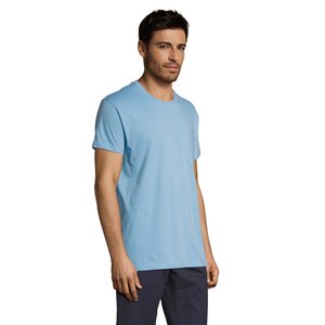 REGENT Uni T-Shirt 150g — REGENT